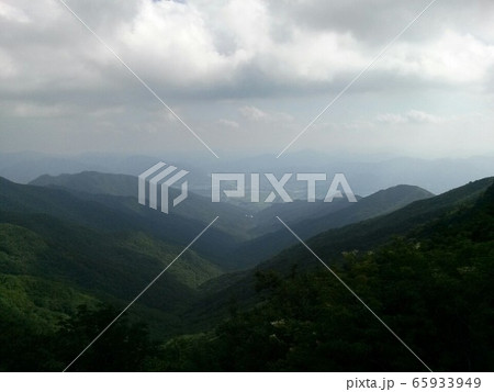 自然 景色 霧 65933949
