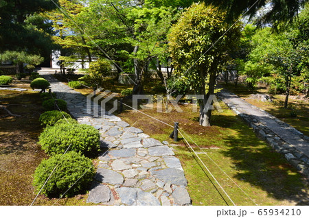 鹿王院の庭園（京都市右京区嵯峨北堀町） 65934210