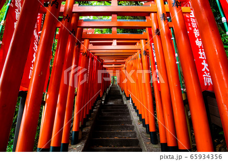 東京都赤坂 日枝神社 山王稲荷神社の千本鳥居の写真素材