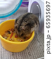 偏食家だけど量はたくさん食べるの 65935697