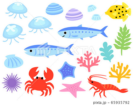 海の生き物のイラストセットのイラスト素材