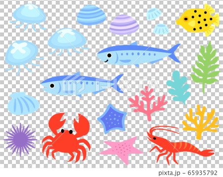 海の生き物のイラストセット 65935792