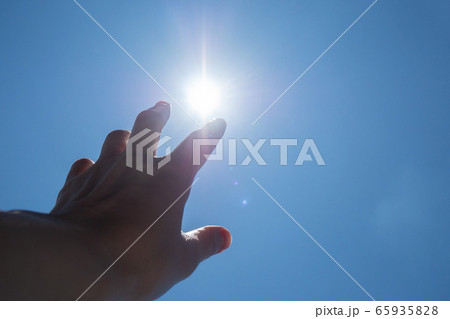 太陽に伸ばす手　光 65935828