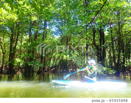 マングローブSUP マングローブSUP 65935898