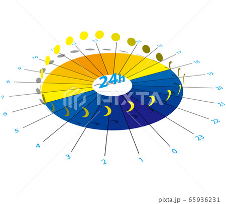 ベクターイラスト 24時間イメージのインフォグラフィックス 背景透明のイラスト素材