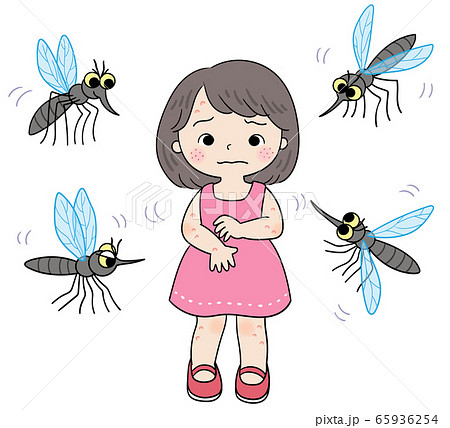 蚊 カ 恐怖 65936254