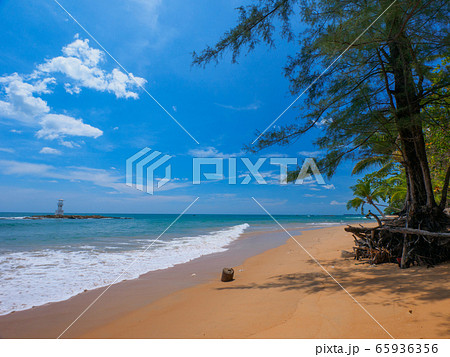 灯台のある南国のビーチ (カオラック、パンガー県、タイ王国) 65936356