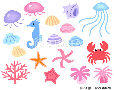 海の生き物のイラストセットのイラスト素材