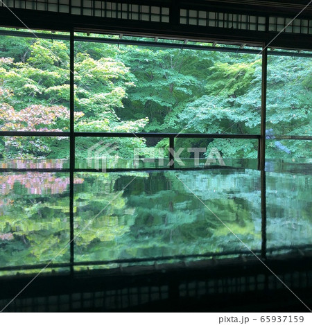 京都の風景 65937159