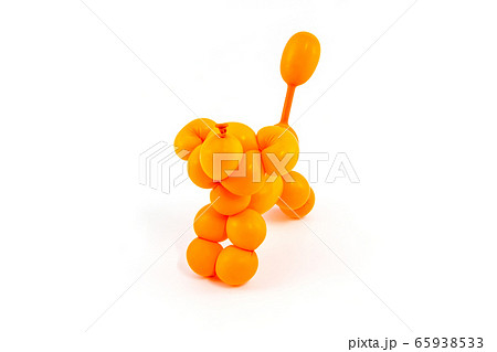 Balloon animal. 65938533