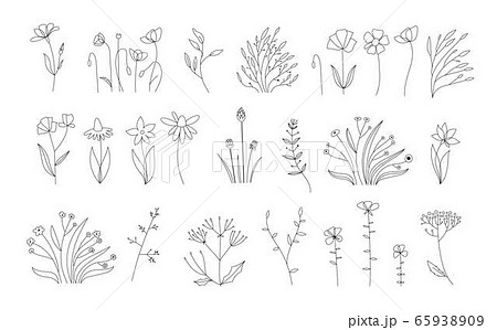 Sketch Floral Botany Collection.Wedding flowers blossoming. Outline vector set of different flowers. Black and white with line art on white backgrounds. Hand Drawn Illustrations. Vector. Vintage style 65938909