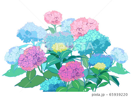 超人気新品 紫陽花様専用 手描きイラスト アート 写真 Www Motoquest Com 超人気新品 紫陽花様専用 手描きイラスト アート 写真 Www Motoquest Com