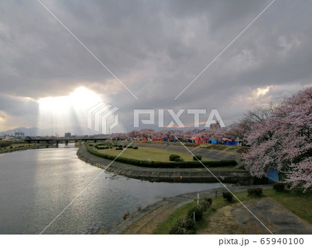 海蔵川桜まつりと天使のはしごの写真素材