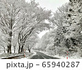 雪景色 65940287