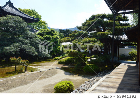 鹿王院の庭園（京都市右京区嵯峨北堀町） 65941392