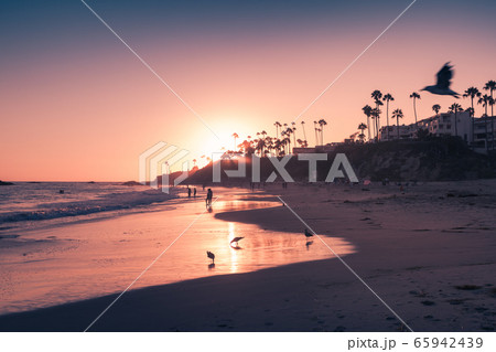 Laguna Beach in beautiful purple sunset light 65942439