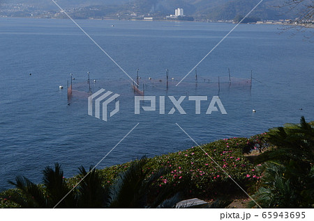 海中の生簀(日出城址 付近/大分県速見郡日出町) 海中の生簀(日出城址 付近/大分県速見郡日出町) 65943695