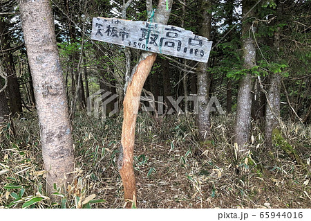 矢板市最高地点 矢板市最高地点 65944016