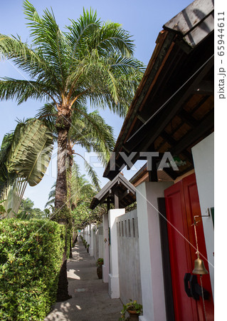 風景 背景 東南アジア 65944611