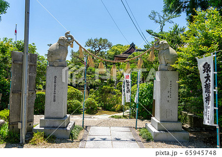 宝寿院9761 宝寿院9761 65945748