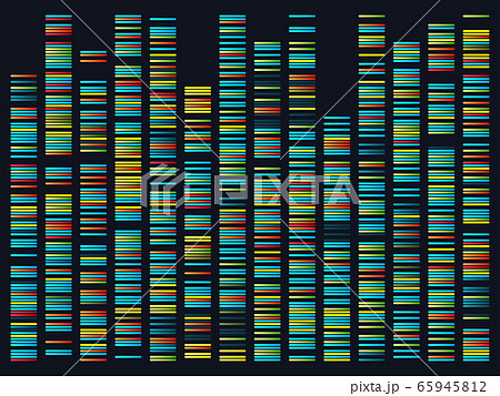 Genomic sequences. Structure of DNA genome 65945812