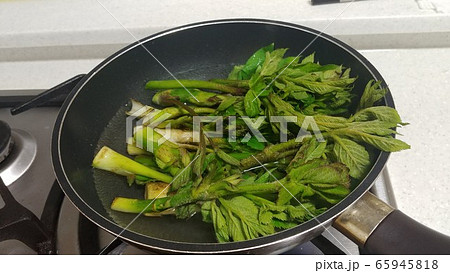 タラの芽 新鮮 料理 65945818