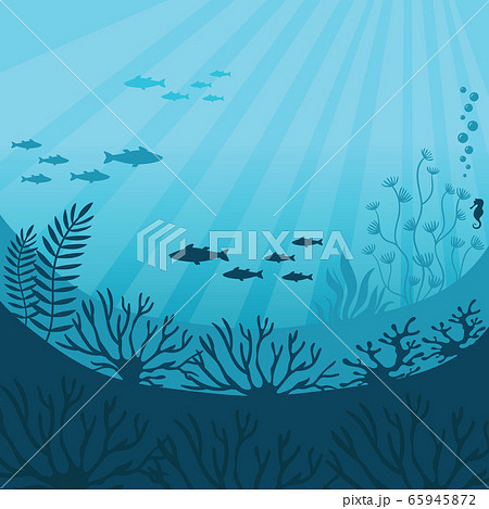 Undersea world. Underwater ocean fauna Undersea world. Underwater ocean fauna 65945872