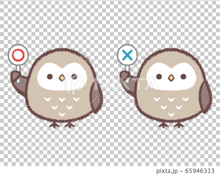 フクロウマルバツセット フクロウマルバツセット 65946313