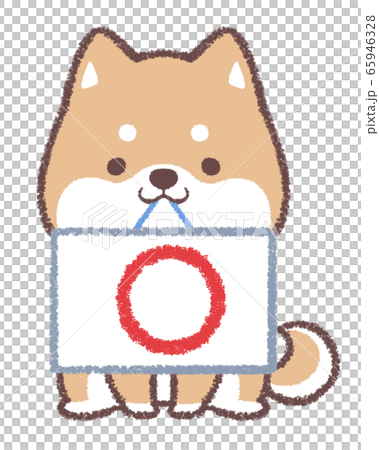 柴犬マル 柴犬マル 65946328