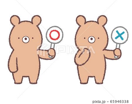 クママルバツセット クママルバツセット 65946338