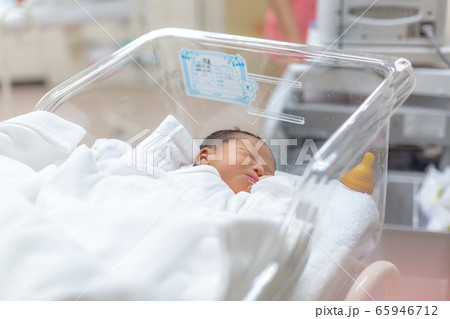 新生児　生後1日の赤ちゃん 65946712