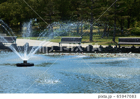 東郷湖あやめ池公園の風景・鳥取県湯梨浜町 65947083