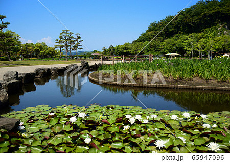 東郷湖あやめ池公園の風景・鳥取県湯梨浜町 65947096