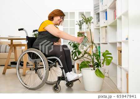 Watering domestic plants 65947941