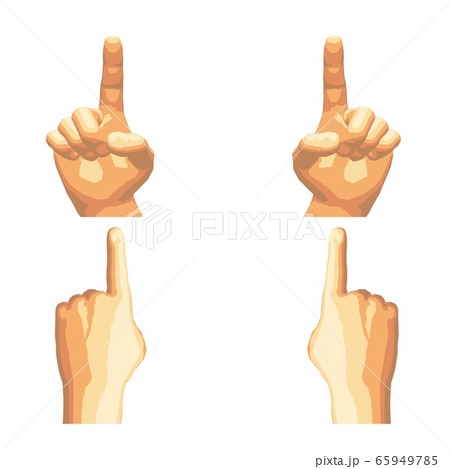 Realistic human hand gesture set in five tones. 65949785