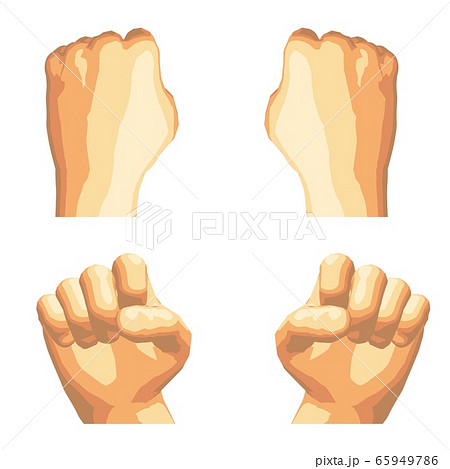 Realistic human hand gesture set in five tones. 65949786