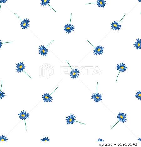 Blue Daisy Flowers On White Background Seamless のイラスト素材