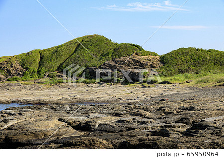 湘南（初夏） 65950964