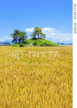 麦秋と軍配山古墳(縦) 麦秋と軍配山古墳(縦) 65951740
