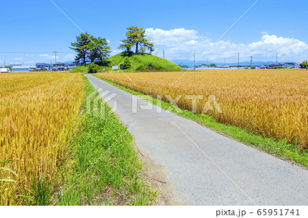 麦秋と軍配山古墳 麦秋と軍配山古墳 65951741