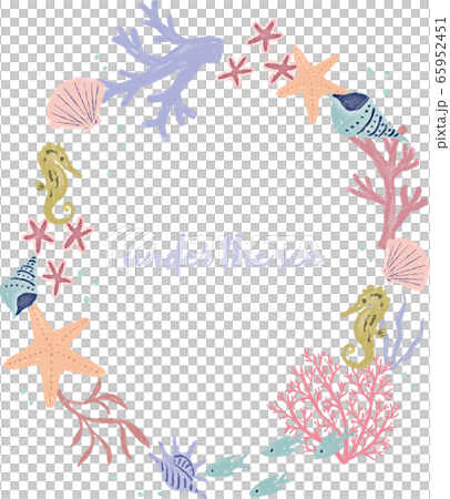 夏　海　貝　マリン　イラスト 65952451