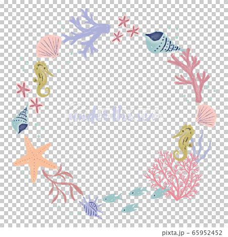 夏天海海洋圖 65952452