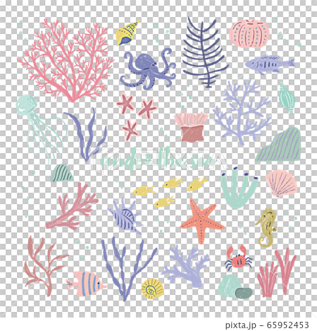 Sea summer animals tropical fish coral reef 65952453