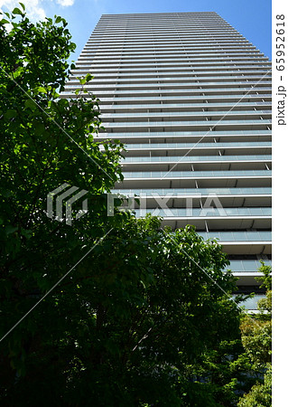 【高槻超高層マンション】青空と木　超高層マンションミューズたかつき 65952618