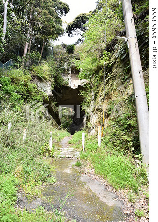 鎌倉 釈迦堂切通し 65953559