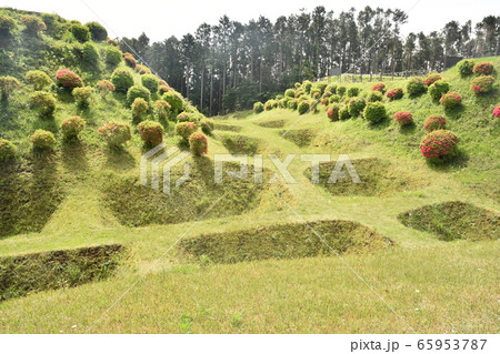 静岡県 山中城跡 静岡県 山中城跡 65953787