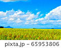 あきたこまち　収穫 65953806
