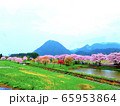 さくらと美しい田舎の風景 65953864
