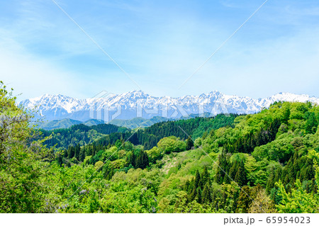 新緑と残雪の北アルプス 新緑と残雪の北アルプス 65954023