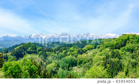 新緑と残雪の北アルプス 65954055
